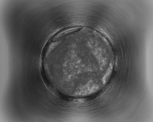 X0000096200492200802081543