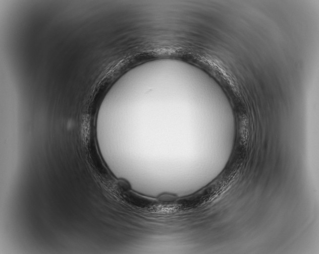 X0000096200495200802081543