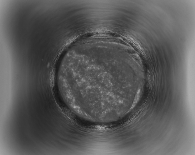 X0000096200496200802081543