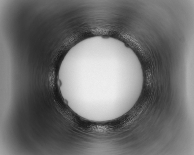 X0000096200498200802081543