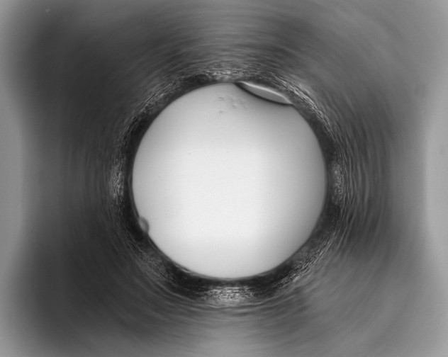 X0000096200499200802081543