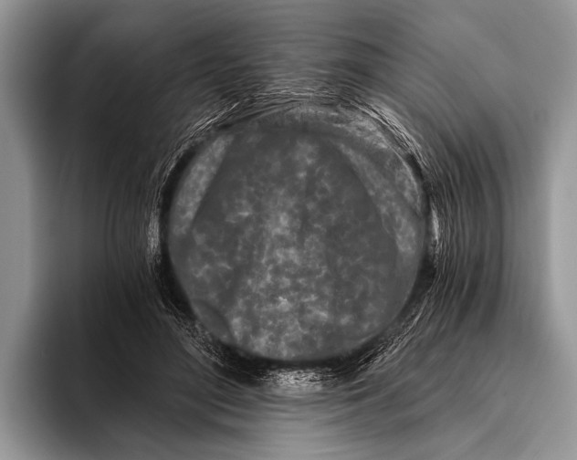 X0000096200500200802081543