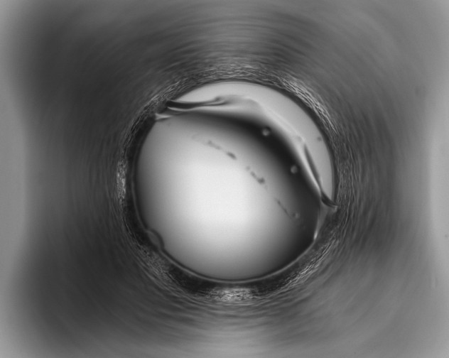 X0000096200501200802081543