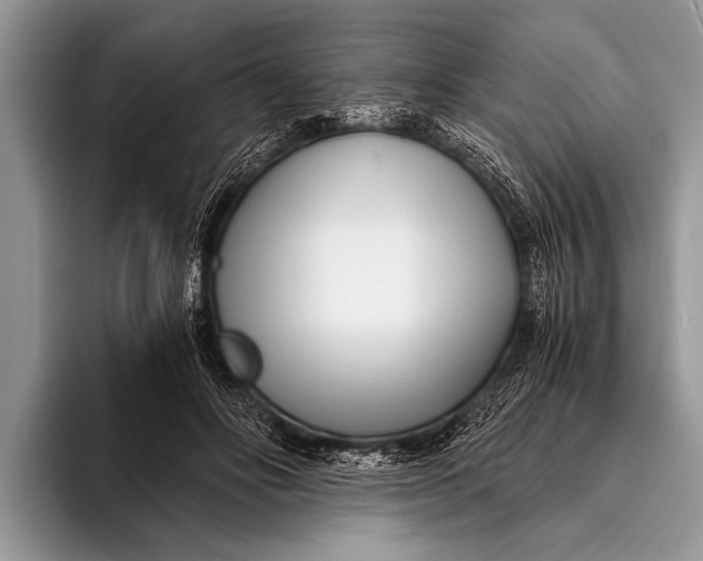 X0000096200502200802081543