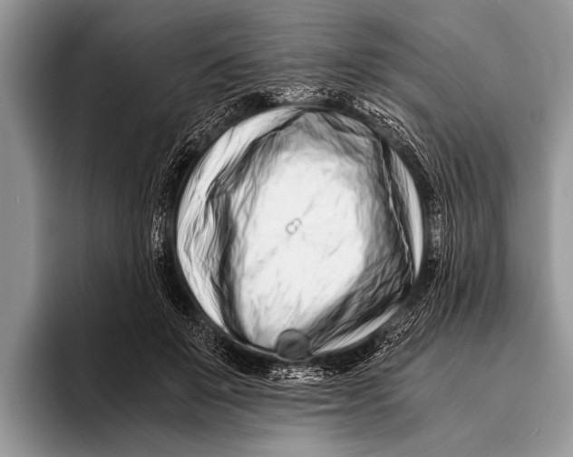 X0000096200503200802081543