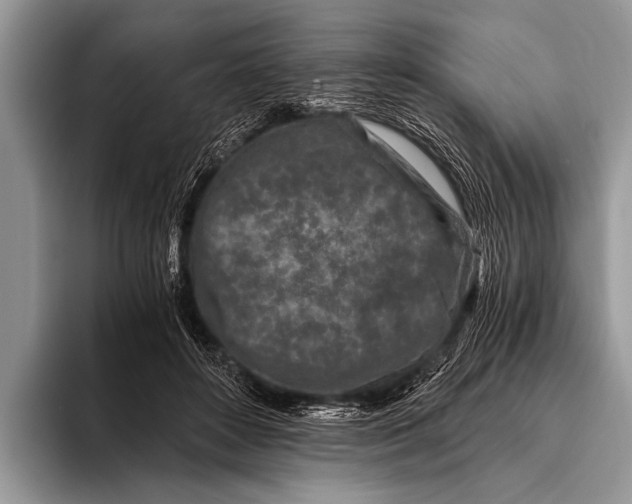 X0000096200504200802081543