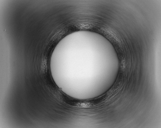 X0000096200506200802081543