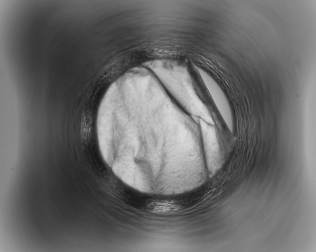 X0000096200507200802081543