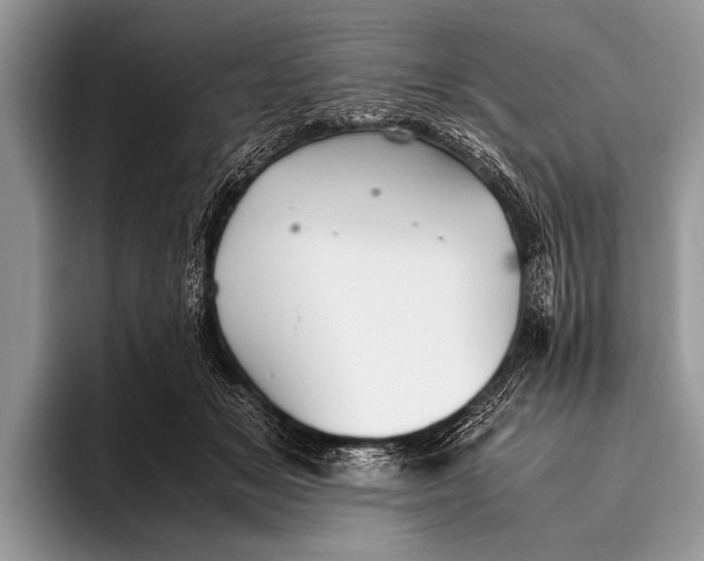 X0000096200509200802081543