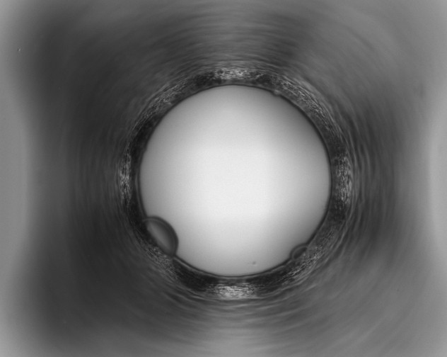 X0000096200510200802081543