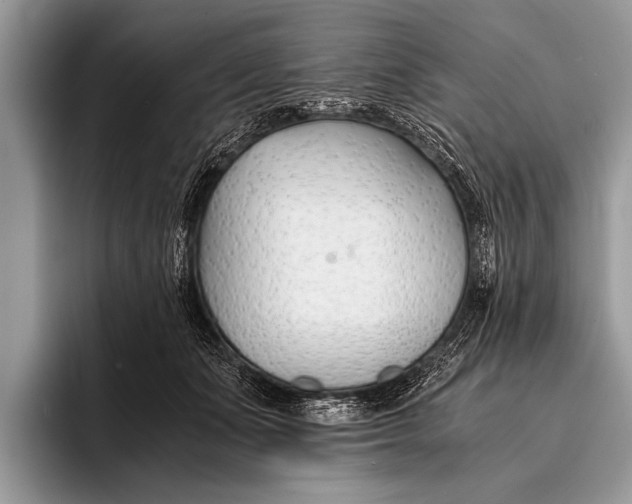 X0000096200511200802081543