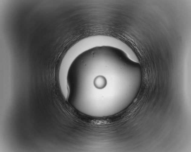 X0000096200512200802081543