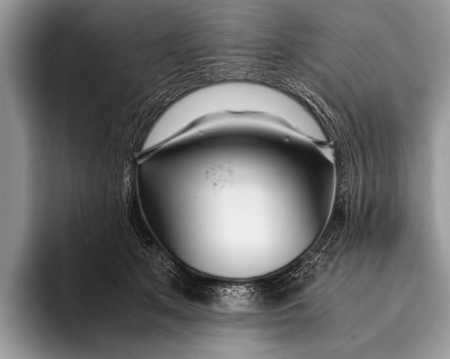 X0000096200513200802081543