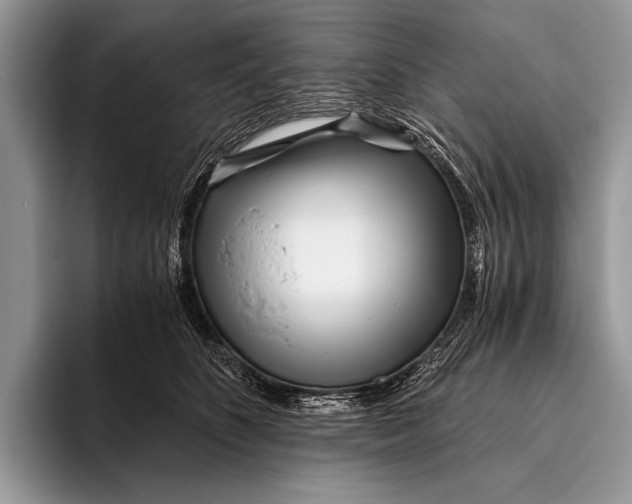 X0000096200516200802081543