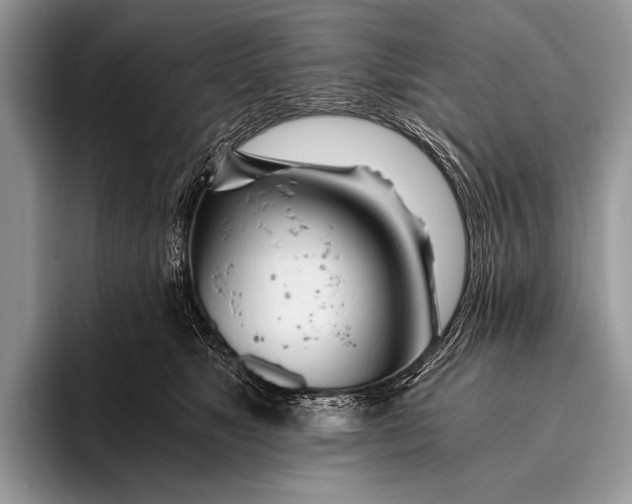 X0000096200517200802081543