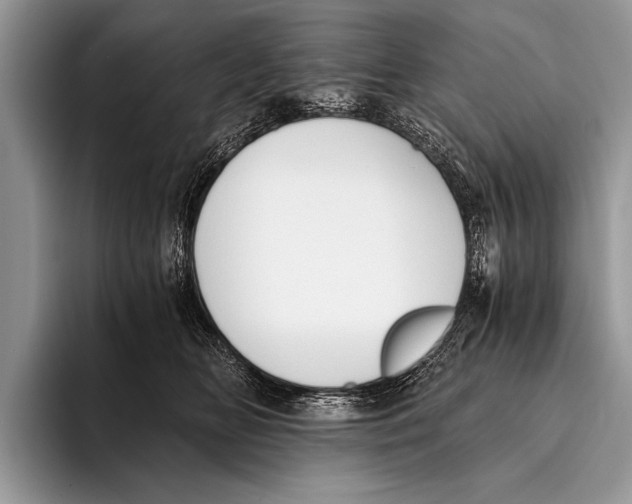 X0000096200518200802081543