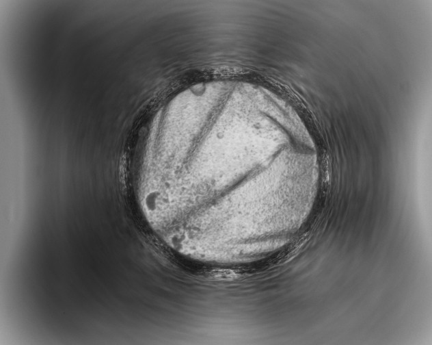 X0000096200519200802081543