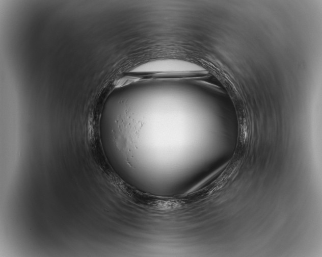 X0000096200520200802081543