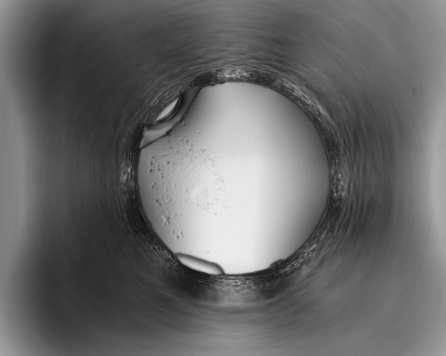 X0000096200521200802081543