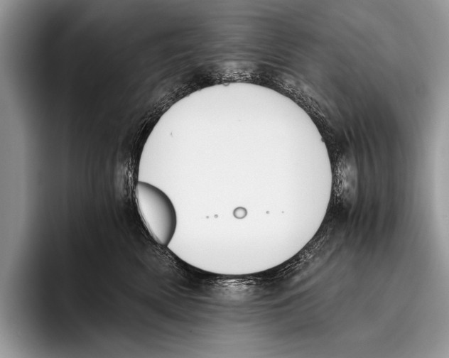 X0000096200522200802081543