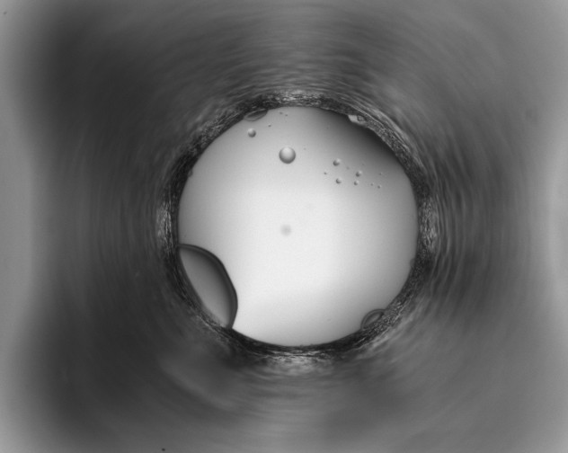 X0000096200523200802081543