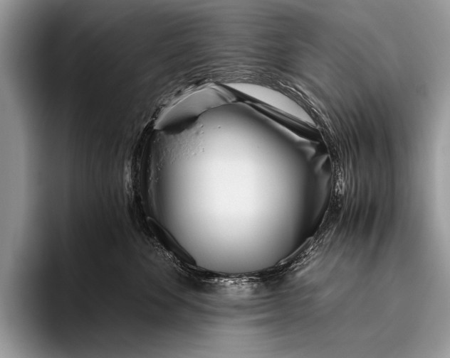 X0000096200524200802081543