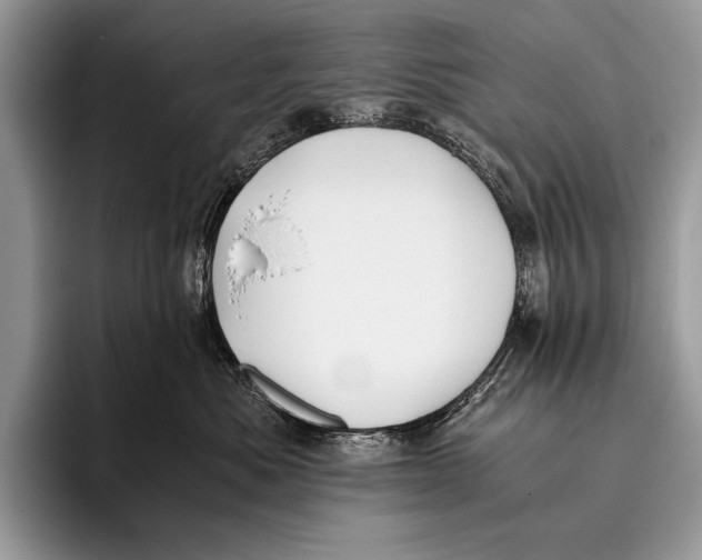 X0000096200525200802081543