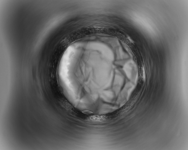 X0000096200526200802081543