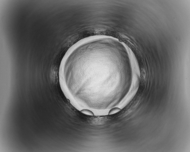 X0000096200527200802081543