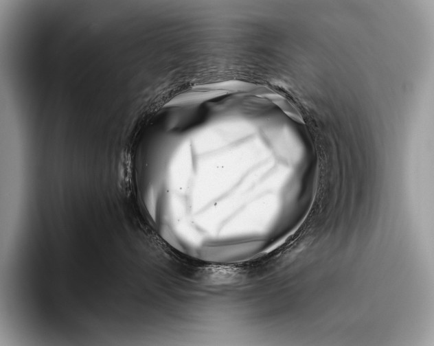 X0000096200528200802081542