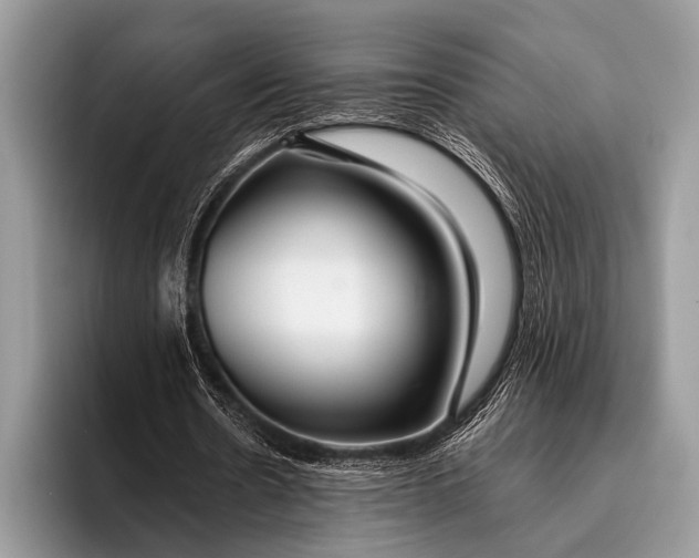 X0000096200530200802081542