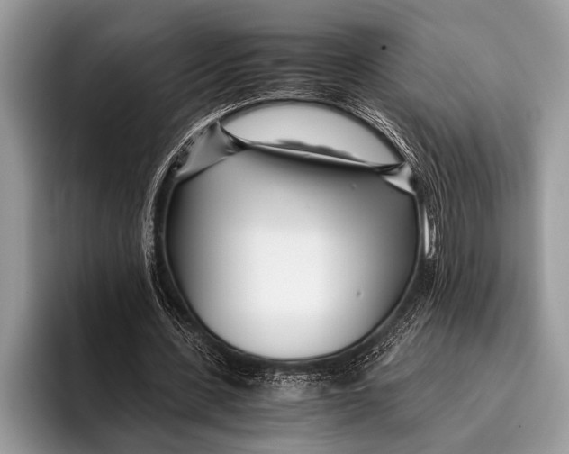 X0000096200531200802081542