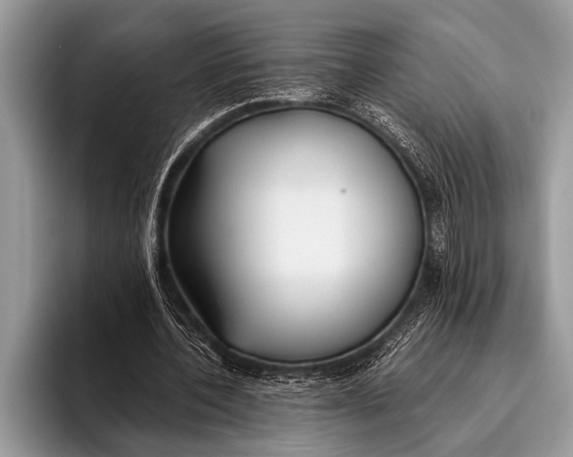 X0000096200532200802081542