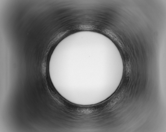 X0000096200533200802081542