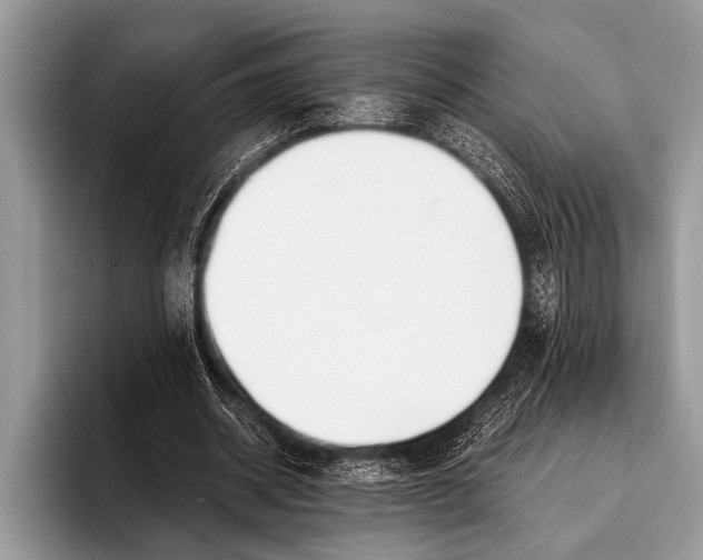 X0000096200534200802081542