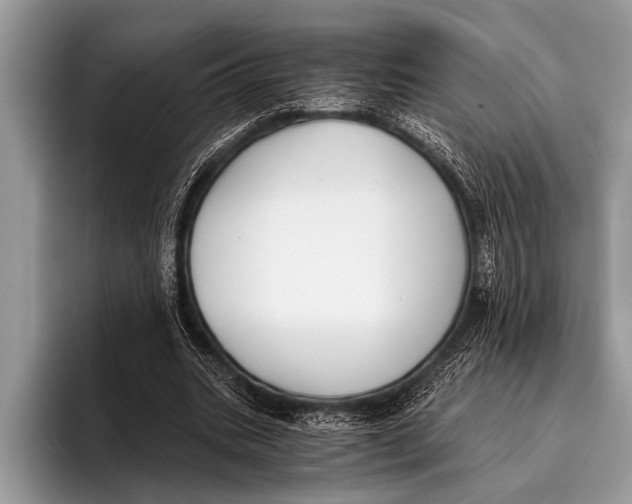 X0000096200535200802081542