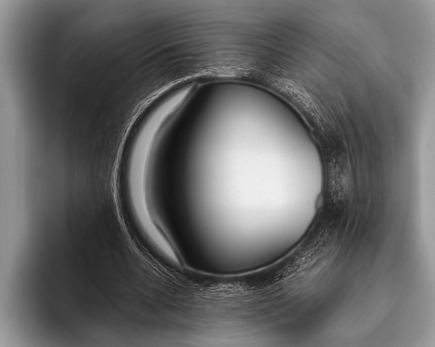 X0000096200536200802081542