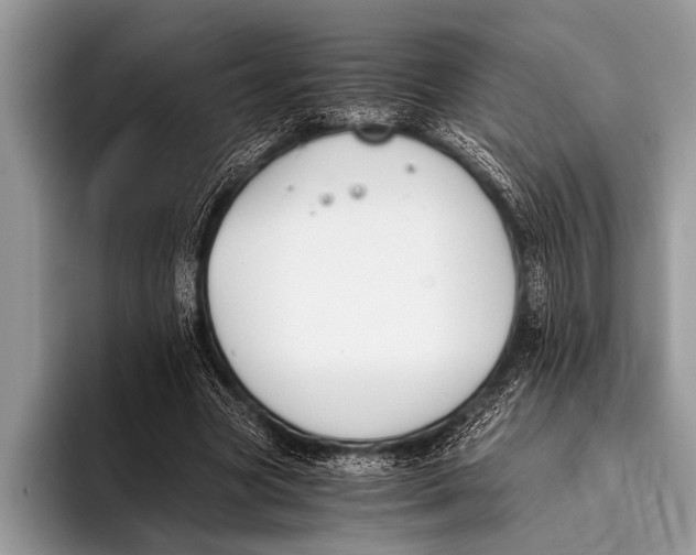 X0000096200537200802081542