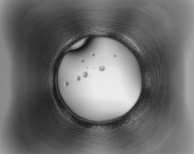 X0000096200538200802081542