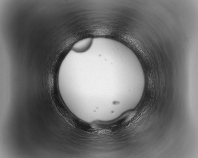 X0000096200539200802081542