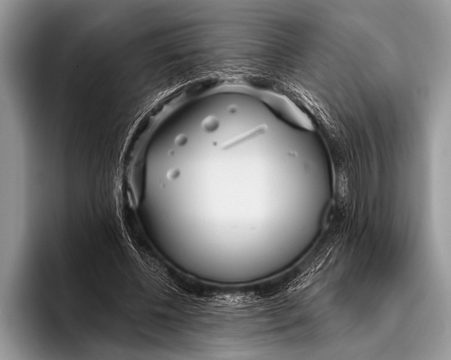 X0000096200540200802081542