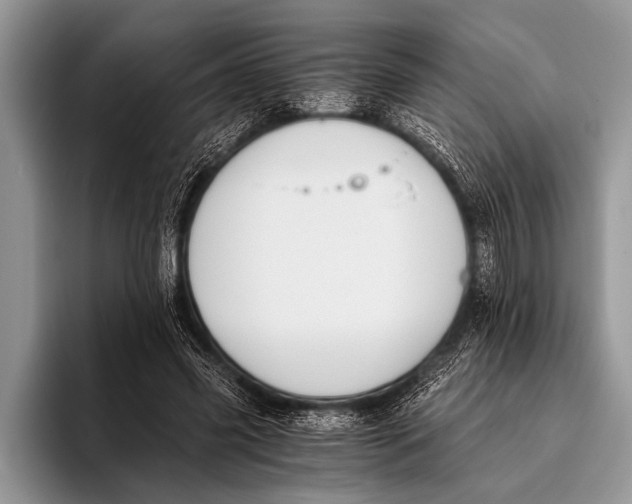 X0000096200541200802081542