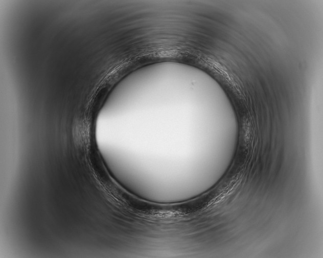 X0000096200542200802081542