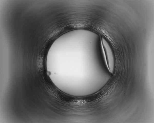 X0000096200543200802081542