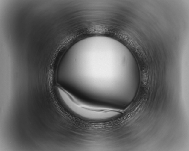 X0000096200544200802081542