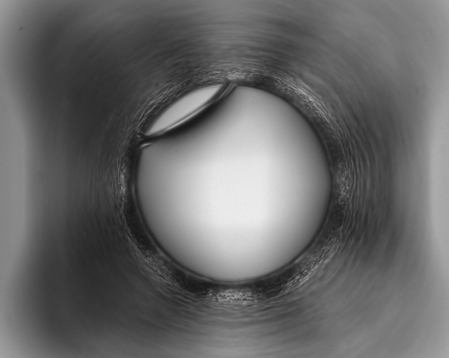 X0000096200546200802081542