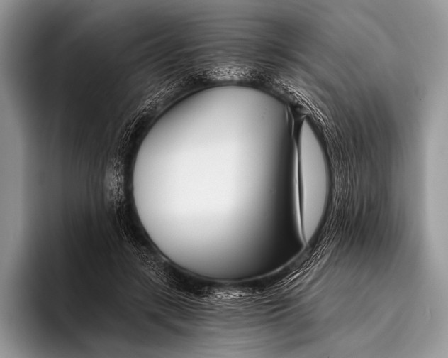 X0000096200547200802081542