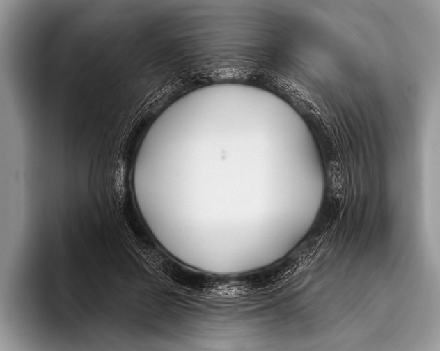 X0000096200550200802081542