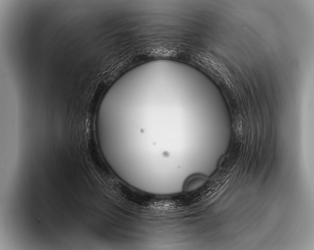 X0000096200551200802081542