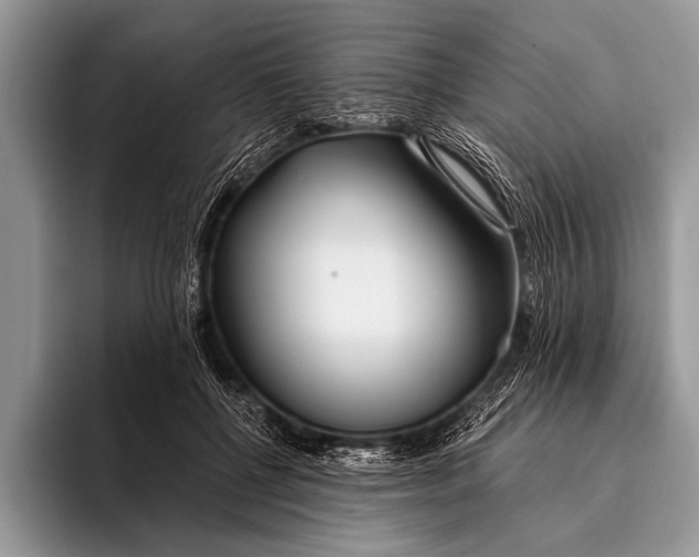 X0000096200552200802081542